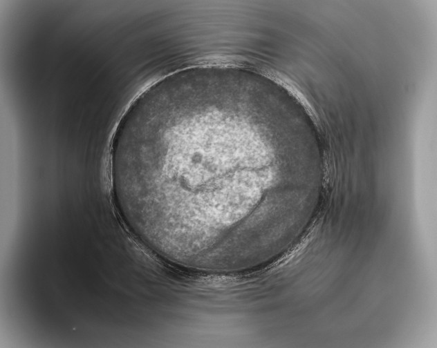 X0000095941075200802011037