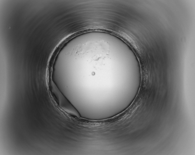 X0000095941076200802011037