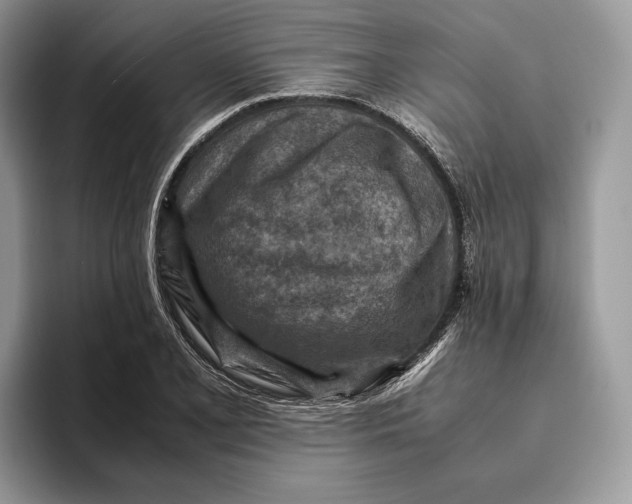 X0000095941077200802011037