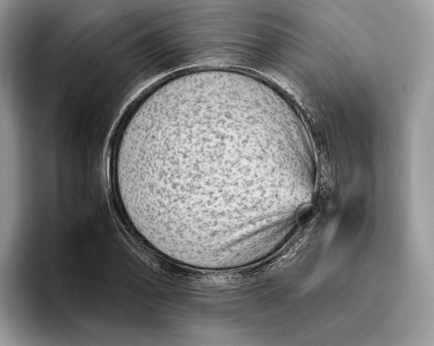 X0000095941078200802011037