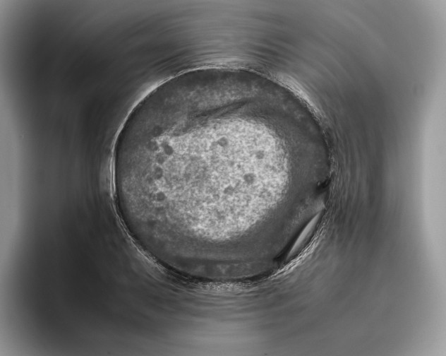 X0000095941079200802011037