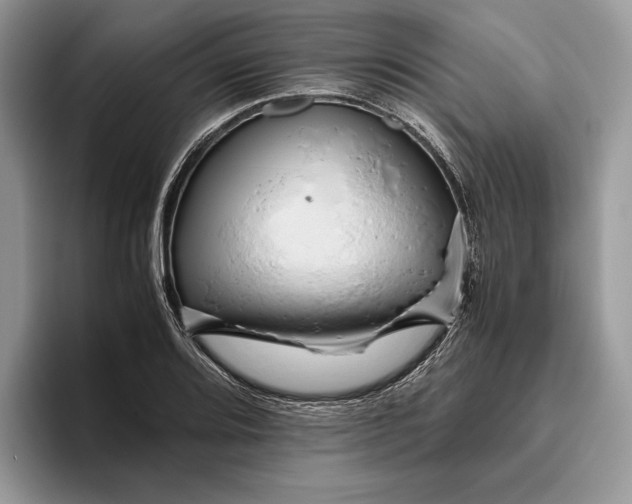 X0000095941080200802011037