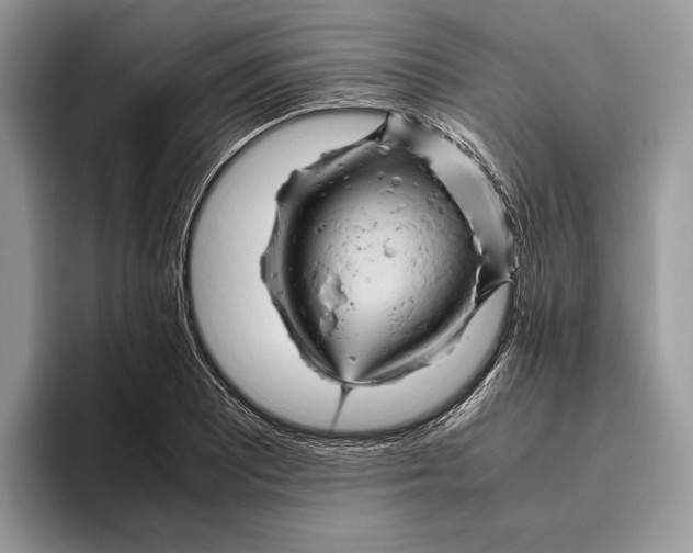 X0000095941081200802011037