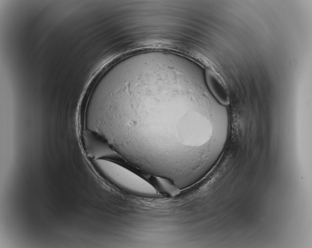 X0000095941082200802011037