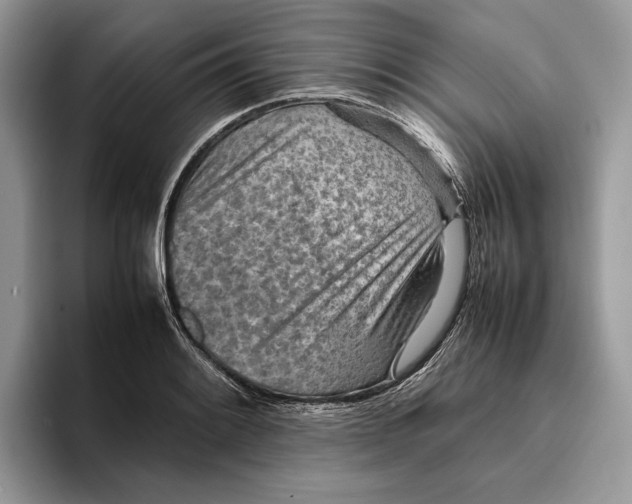 X0000095941084200802011036