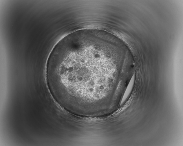 X0000095941087200802011036