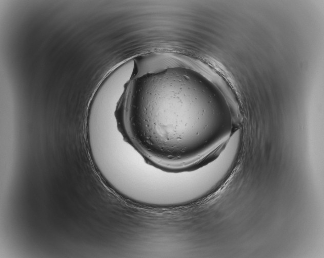 X0000095941089200802011036