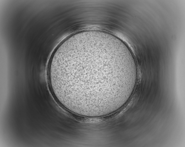 X0000095941090200802011036