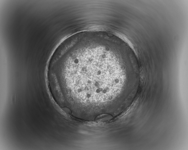 X0000095941091200802011036