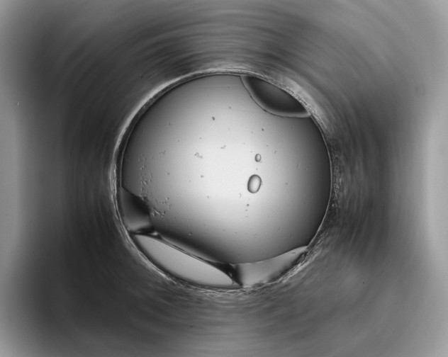 X0000095941092200802011036