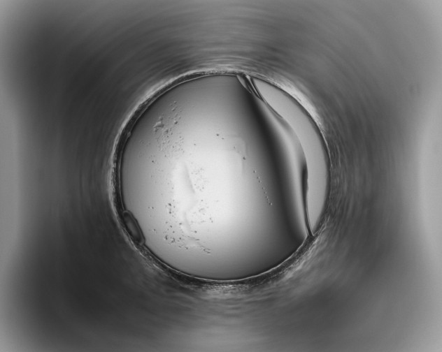 X0000095941093200802011036