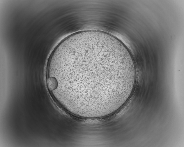 X0000095941094200802011036