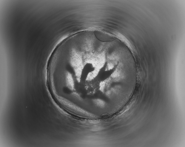 X0000095941095200802011036