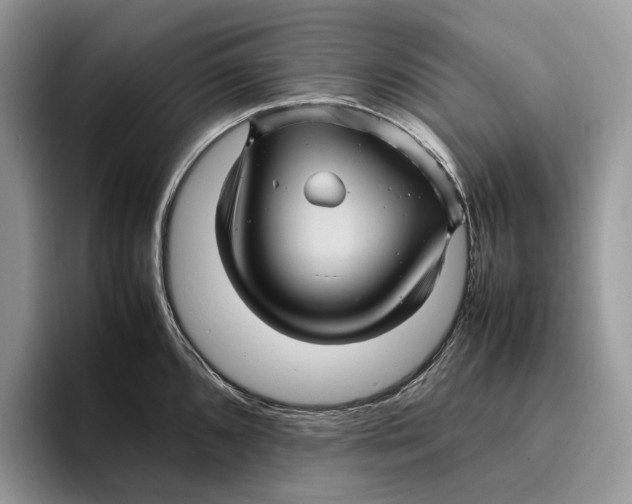 X0000095941096200802011036