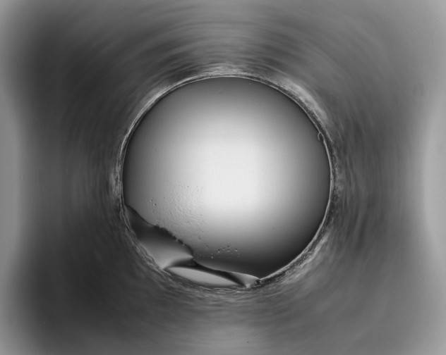 X0000095941097200802011036