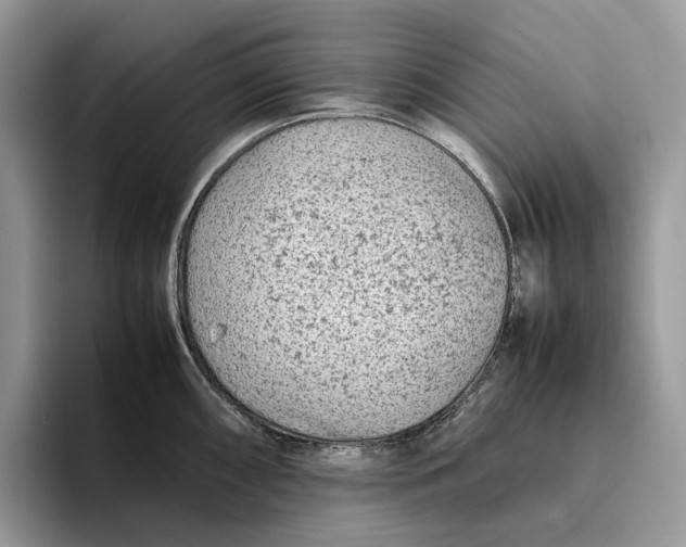 X0000095941098200802011036