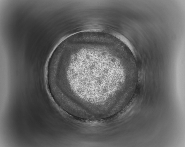 X0000095941099200802011036