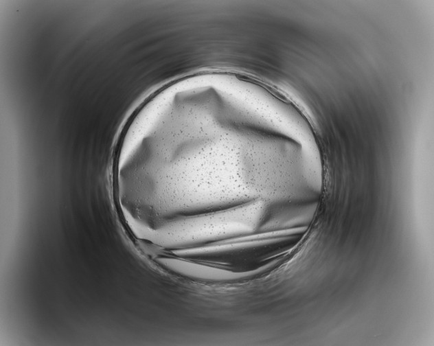 X0000095941100200802011036