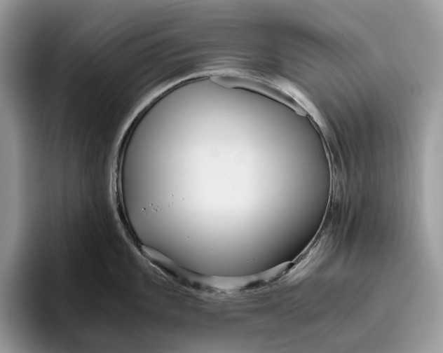 X0000095941101200802011036