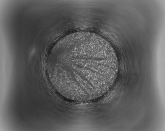 X0000095941105200802011035