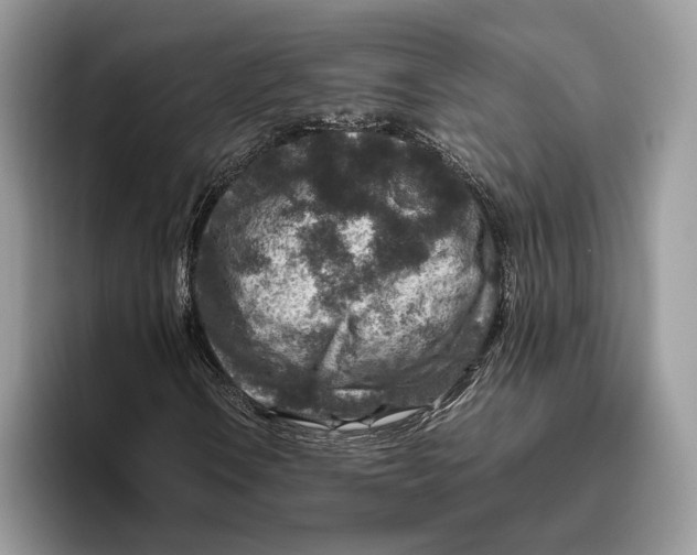 X0000095941106200802011036