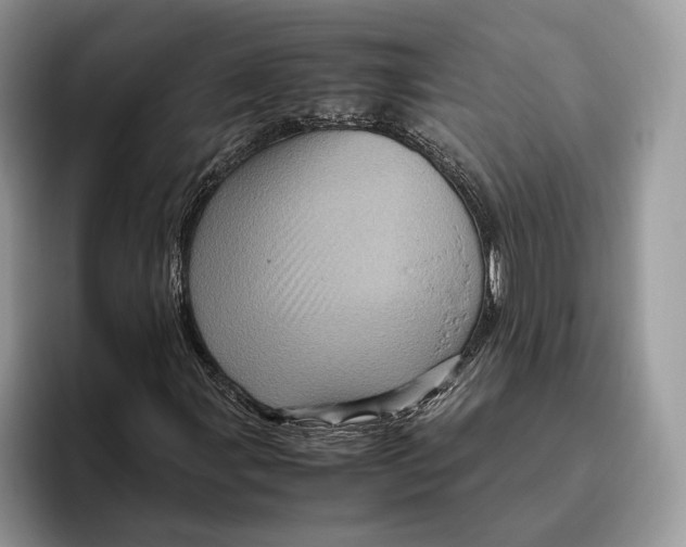 X0000095941107200802011036