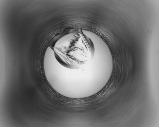 X0000095941108200802011036