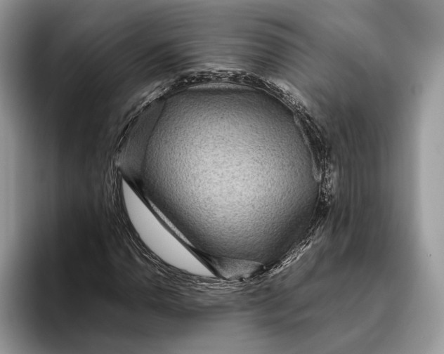 X0000095941110200802011036