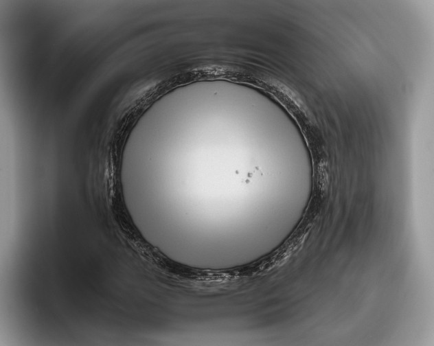 X0000095941111200802011036