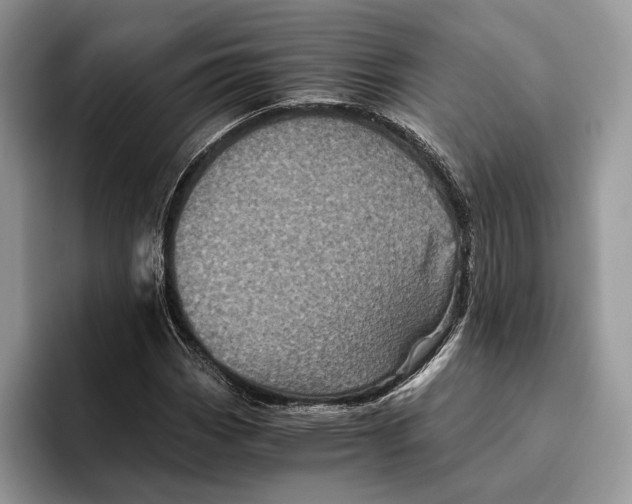 X0000095941113200802011036