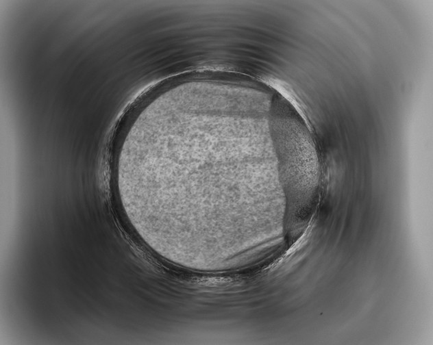 X0000095941115200802011036