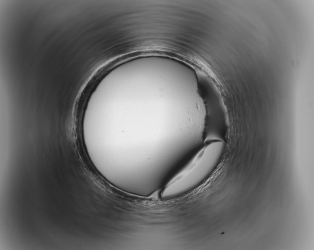 X0000095941116200802011036