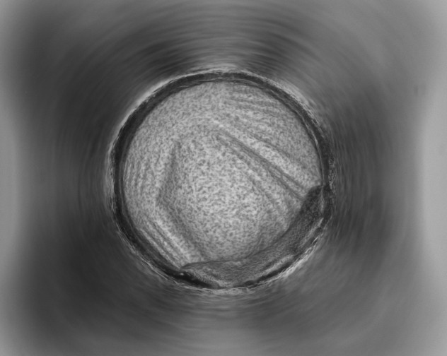 X0000095941118200802011036