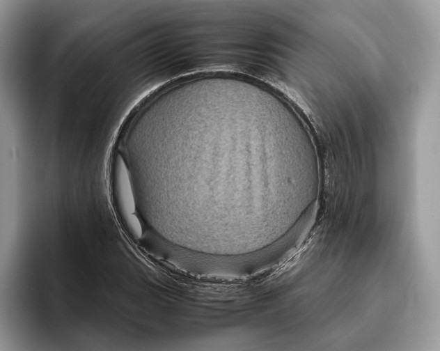 X0000095941119200802011036