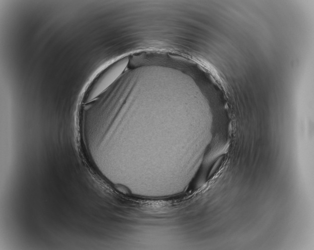 X0000095941120200802011036