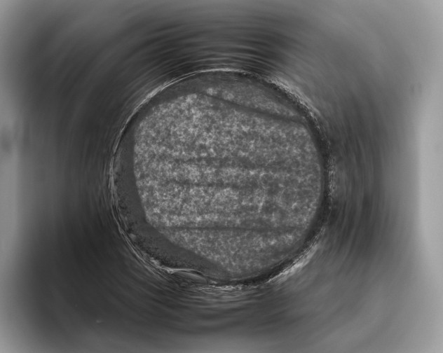 X0000095941121200802011036