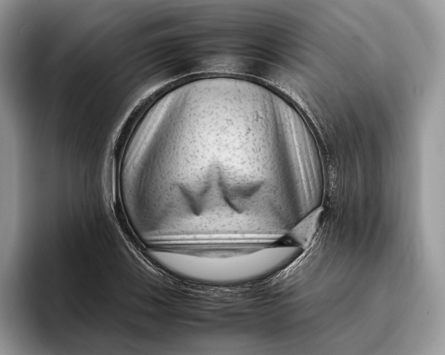 X0000095941123200802011036