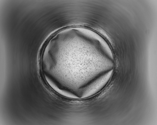 X0000095941124200802011036