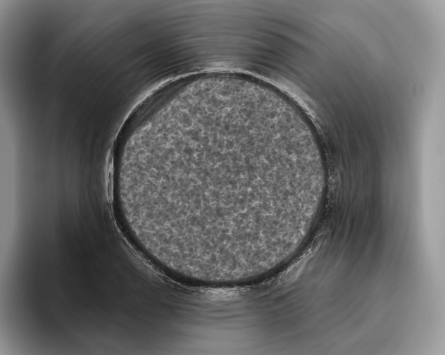 X0000095941126200802011036