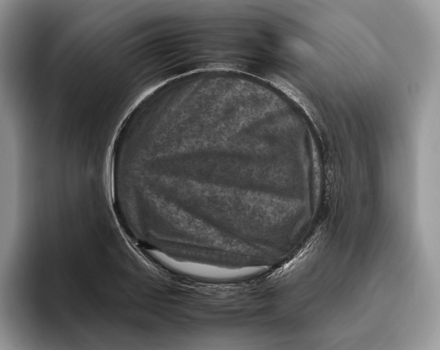 X0000095941127200802011036