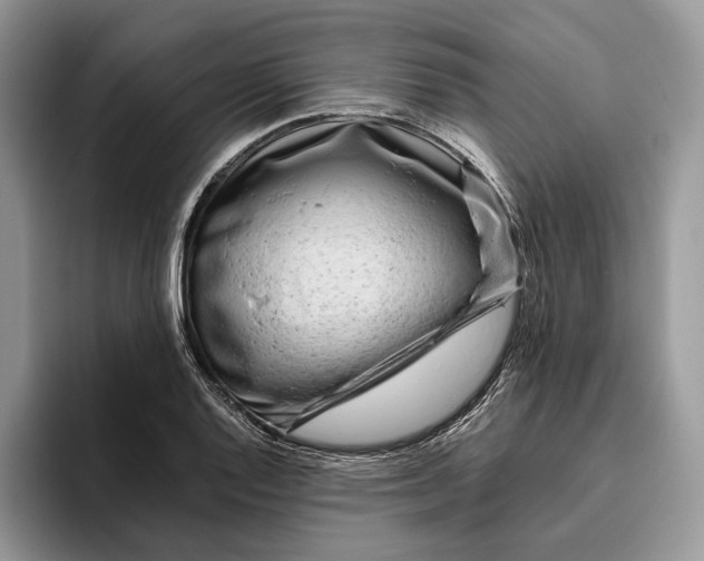 X0000095941128200802011036