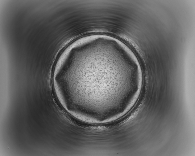 X0000095941129200802011036