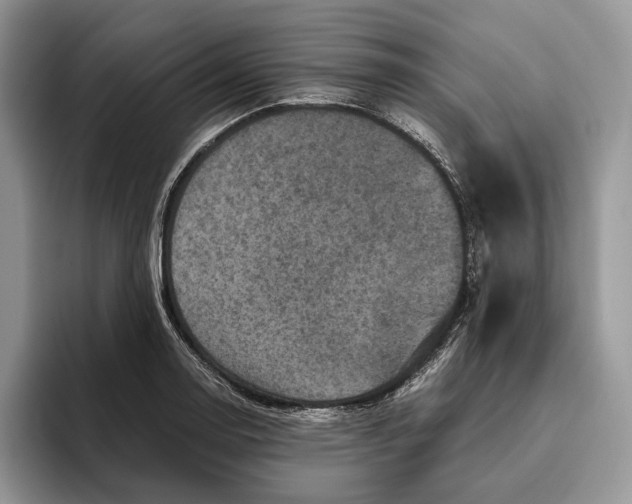 X0000095941130200802011036