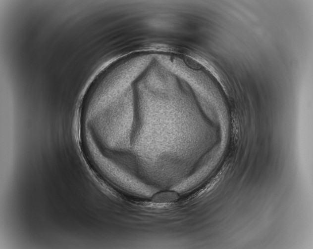 X0000095941131200802011036