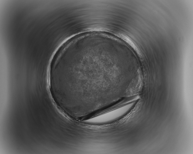 X0000095941132200802011036