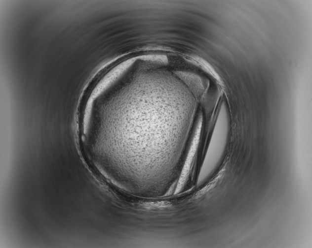 X0000095941133200802011036