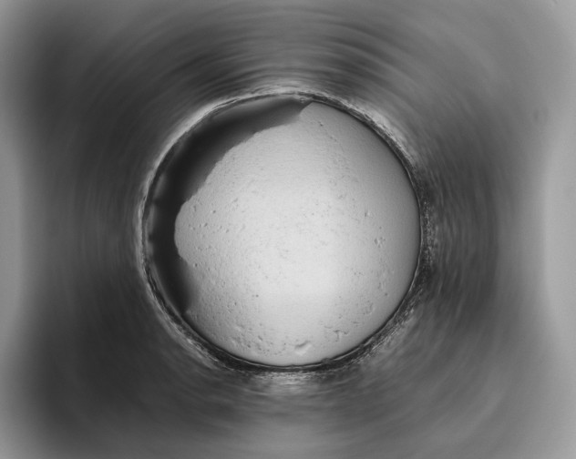 X0000095941134200802011036