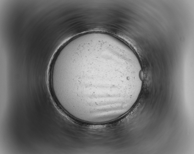 X0000095941135200802011036