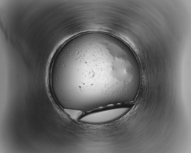 X0000095941136200802011036