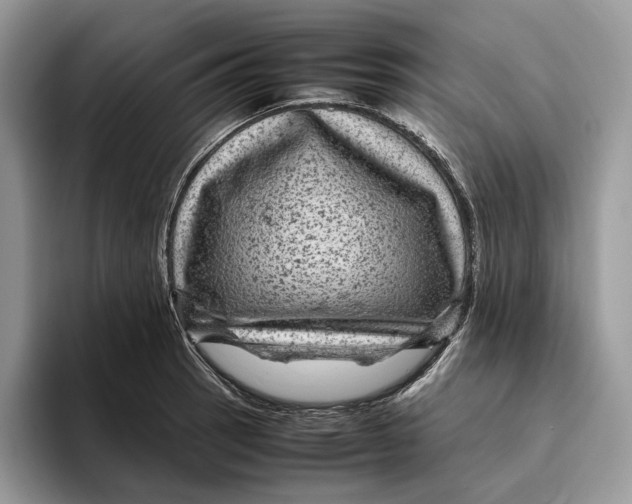 X0000095941137200802011036